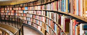 Учитель-дефектолог (профиль: интеллектуальные нарушения)