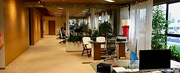 Курс «Кадровый аудитор (280 ч.)»