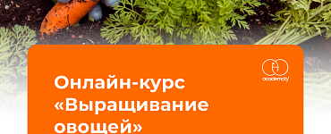 Выращивание овощей